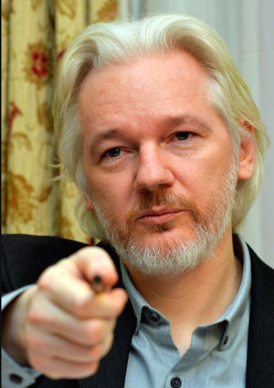 julian assange verdad